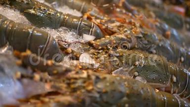 新鲜的龙虾在冰上。 亚洲<strong>街</strong>头<strong>美食</strong>刺虾特写。